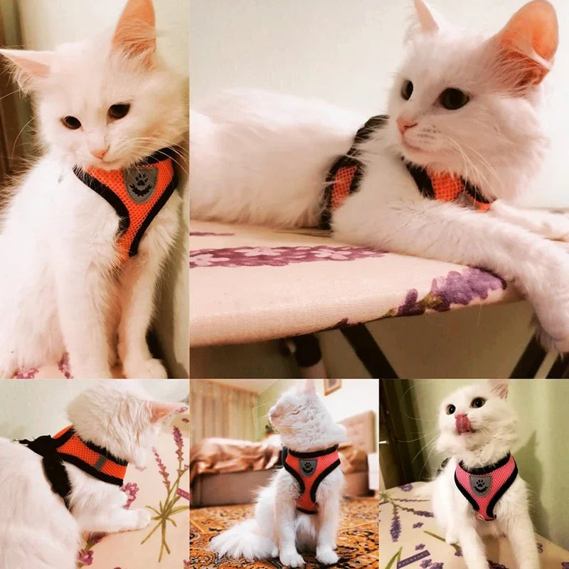 Reflective Mesh Harness & Leash β Soft Adjustable Vest for Cats & Small Dog