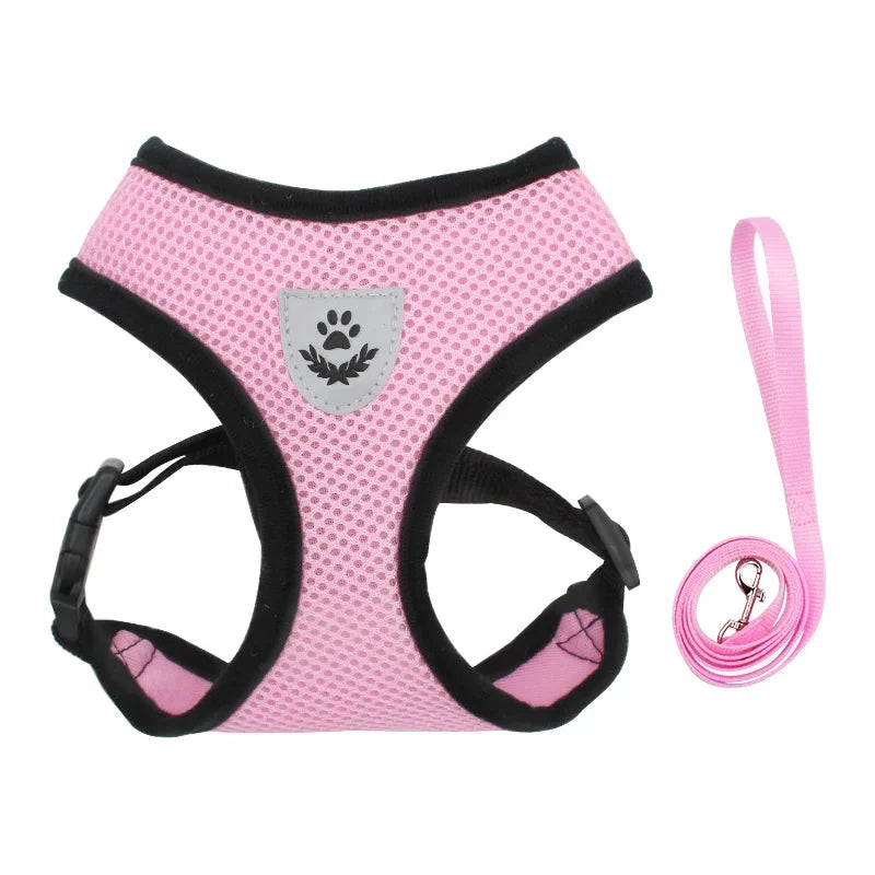 Reflective Mesh Harness & Leash – Soft Adjustable Vest for Cats & Small Dog