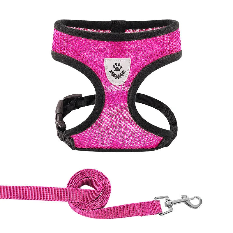 Reflective Mesh Harness & Leash – Soft Adjustable Vest for Cats & Small Dog